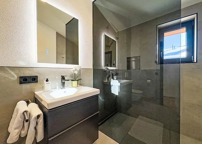 Apartment Glacier Loft Kitzsteinhorn 1 By Interhome